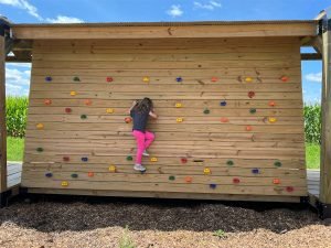 Young girl climbing a wooden wall with colorful handholds beside a cornfield