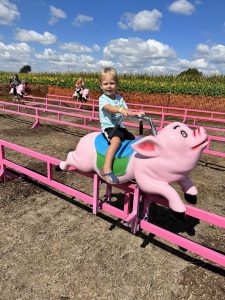 Young child riding a pink pig attraction beside a sunflower field